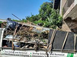 Best Demolition Debris Removal  in Cabool, MO